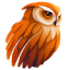 Owlift icon